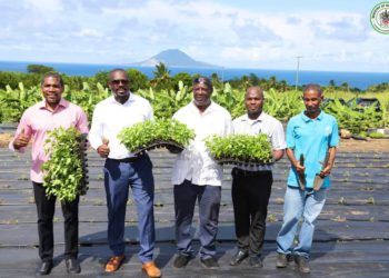 Agricultural Sector Boosted with Launch of Tabasco Pepper Production Project