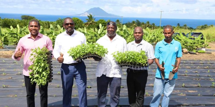 Agricultural Sector Boosted with Launch of Tabasco Pepper Production Project