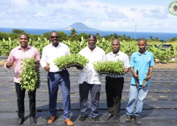 ST. KITTS MARKS HISTORIC MILESTONE WITH LAUNCH OF FIRST-EVER TABASCO PEPPER PLANTING PROJECT