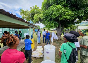 St Kitts and Nevis’ sweet pepper and lettuce farmers work to increase productivity and yields