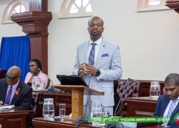 2025 BUDGET PREPARES PUBLIC TO UTILISE TOOLS FOR DIGITAL TRANSFORMATION