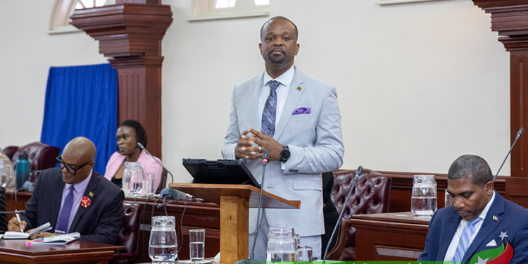 2025 BUDGET PREPARES PUBLIC TO UTILISE TOOLS FOR DIGITAL TRANSFORMATION