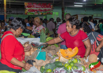 Local Vendors Praise Government’s Agri Night Market Initiative for Its Positive Impact Ahead of Wednesday’s Christmas-Themed Event