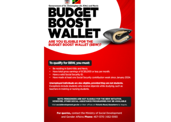 JAD Partners with Government to Deliver Seamless Budget Boost Wallet Experience