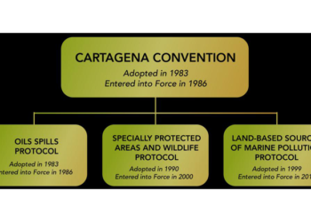 St Kitts and Nevis ratify Cartagena Convention Protocols