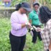 ST. KITTS DEPARTMENT OF AGRICULTURE ESTABLISHES CRISIS RESPONSE TEAM TO ADDRESS INVASIVE BLACK BEAN BUG