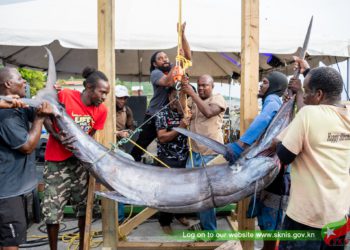 ST. KITTS AND NEVIS FISHERIES SECTOR SEES RECORD-BREAKING REVENUE GROWTH IN 2024 UNDER MINISTER’S VISIONARY LEADERSHIP 