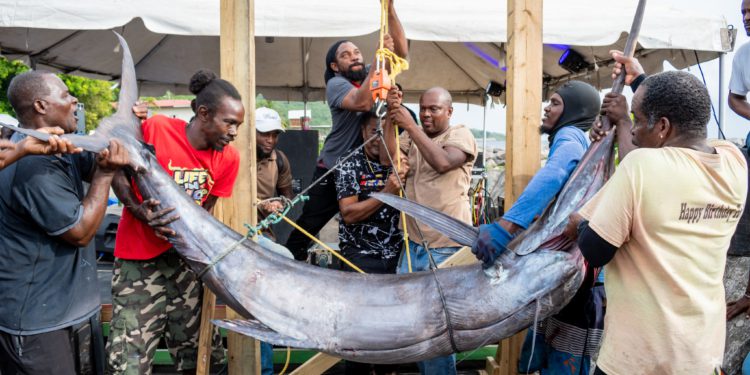 ST. KITTS AND NEVIS FISHERIES SECTOR SEES RECORD-BREAKING REVENUE GROWTH IN 2024 UNDER MINISTER’S VISIONARY LEADERSHIP