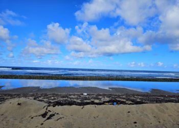 STOP ILLEGAL DUMPING AND SAND MINING IN THE ST. MARY’S BIOSPHERE 