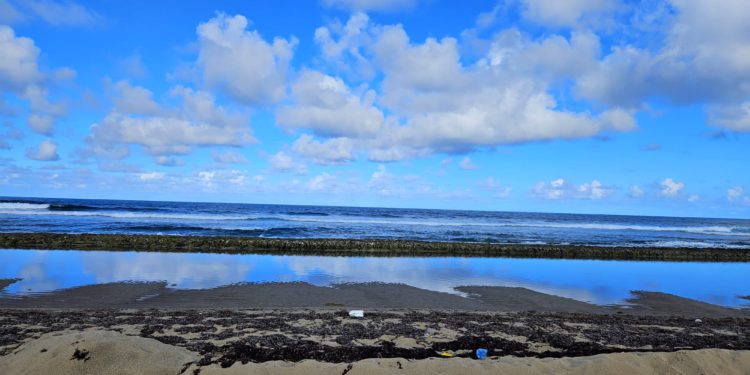 STOP ILLEGAL DUMPING AND SAND MINING IN THE ST. MARY’S BIOSPHERE
