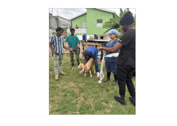 DEPARTMENT OF AGRICULTURE FOSTERS YOUTH ENGAGEMENT IN AGRICULTURE AND VETERINARY MEDICINE