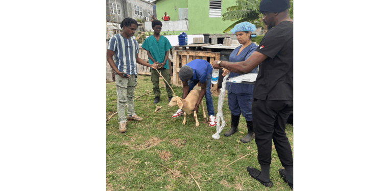 DEPARTMENT OF AGRICULTURE FOSTERS YOUTH ENGAGEMENT IN AGRICULTURE AND VETERINARY MEDICINE