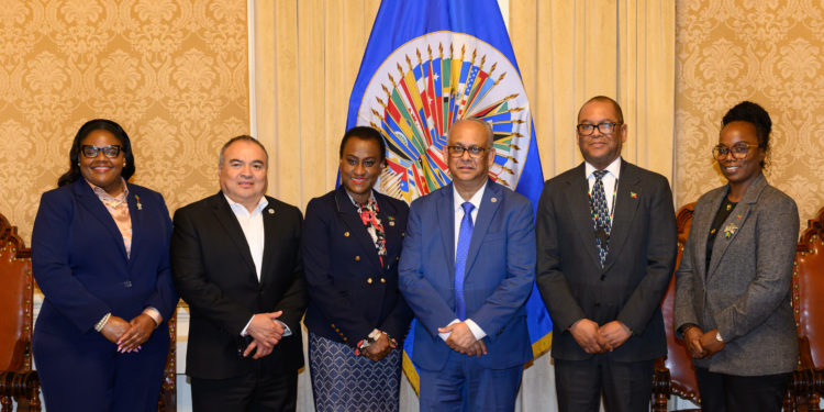 Saint Kitts and Nevis Accedes to Key Inter-American Conventions on Rights of Persons with Disabilities and Older Persons