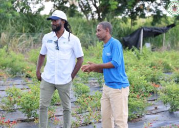 ST. KITTS DEPARTMENT OF AGRICULTURE PROMOTES ECO-FRIENDLY FARMING SOLUTIONS AT FIELD SEMINAR
