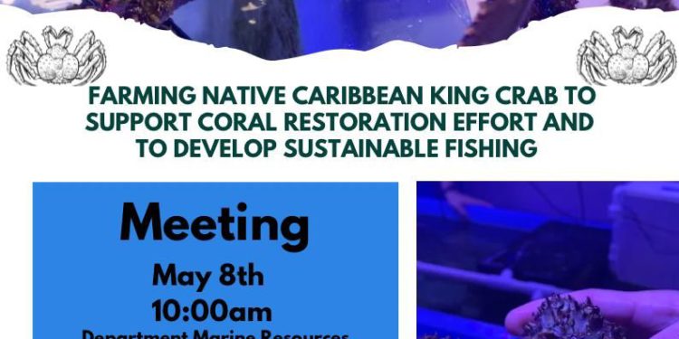 ST. KITTS TO HOST MEETING ON KING CRAB FARMING FOR CORAL RESTORATION AND SUSTAINABLE FISHING