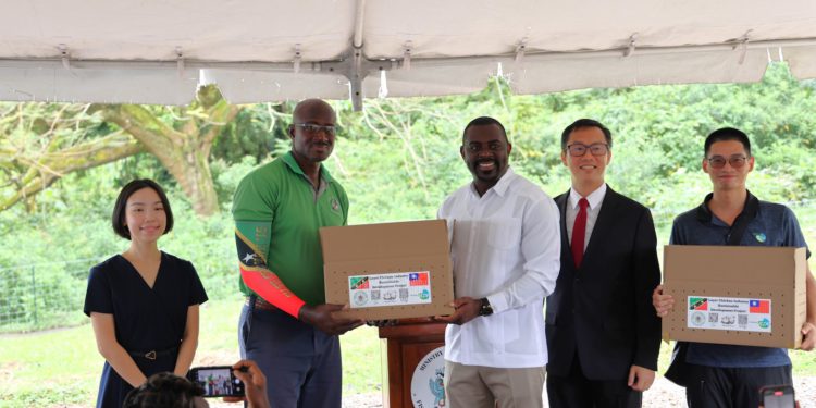 CENTRAL SCHOOL FARM RECEIVES FIRST LOCALLY PRODUCED LAYER CHICKS TO BOOST STUDENT NUTRITION IN ST. KITTS