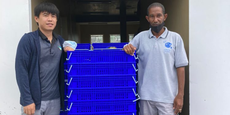 DEPARTMENT OF AGRICULTURE ST. KITTS RELEASES SUMMER PRODUCE FORECAST; STAKEHOLDERS ENCOURAGED TO PRIORITIZE LOCAL SOURCING