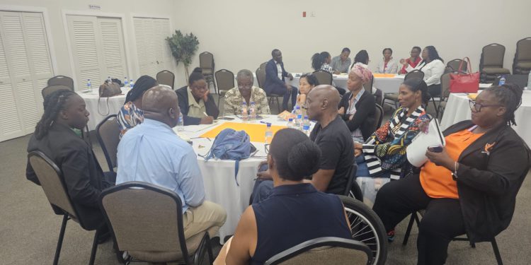 History in the making! St. Kitts and Nevis Hosts Inaugural Nonprofit Network Meeting to Advance Sustainable Development Through Volunteerism