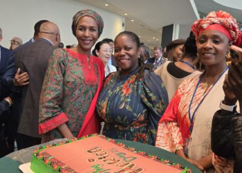 St. Kitts and Nevis Participates in Africa Dialogue Series 2025 and Africa Day Celebration at the United Nations