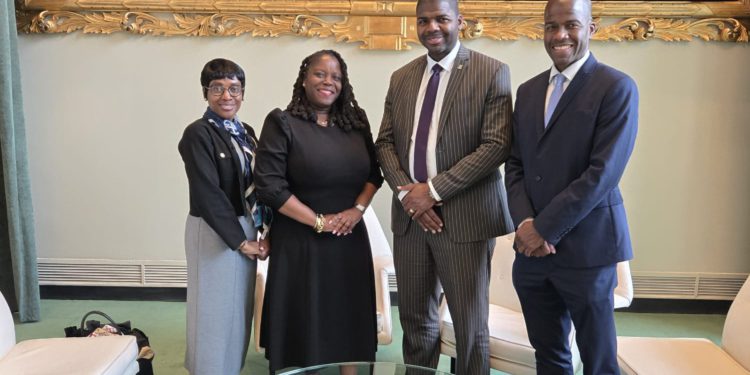 Saint Kitts and Nevis Participated in and Advocated for the Right to Self-Determination on behalf of the British Virgin Islands at recently concluded Special Committee on Decolonization (C-24) Session held at the United Nations