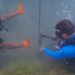ST. KITTS AND NEVIS LAUNCHES GROUNDBREAKING KING CRAB FARMING INITIATIVE FOR CORAL REEF RESTORATION AND SUSTAINABLE LIVELIHOODS
