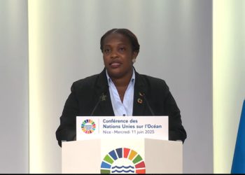 Hon. Clarke Delivers Forceful SIDS Statement at UN Ocean Summit in France