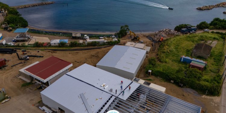 Basseterre Desalination Plant Now 90% Complete, Says Minister Konris Maynard 