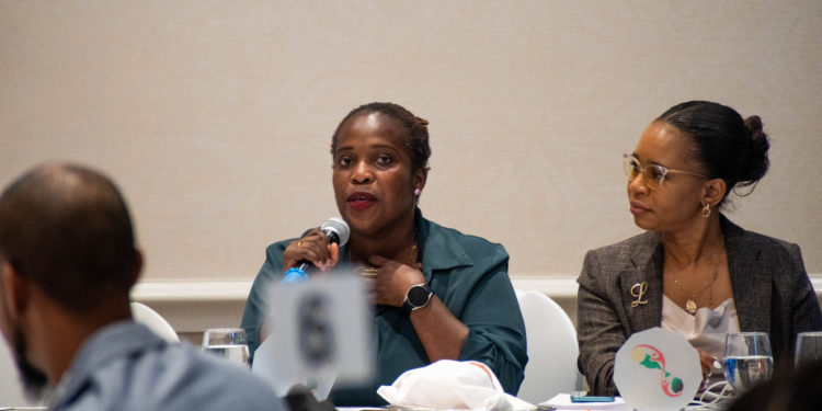 SISA Lunch & Learn – Collective Action for Sustainable Development