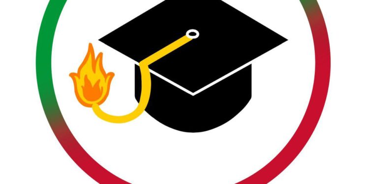 TrailBlaze SKN Mentorship Programme Announces First Cohort