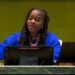St. Kitts and Nevis’ Ambassador to the United Nations Appointed Co-Chair of  Working Group to Revitalize the Work of the United Nations General Assembly