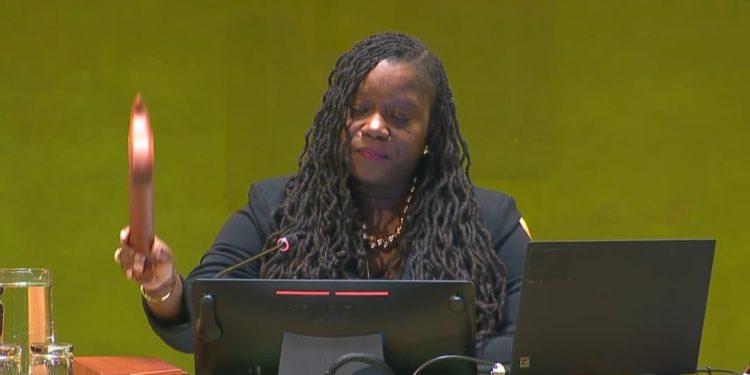 Saint Kitts and Nevis Presides Over Adoption of the United Nations 2026 Programme Budget