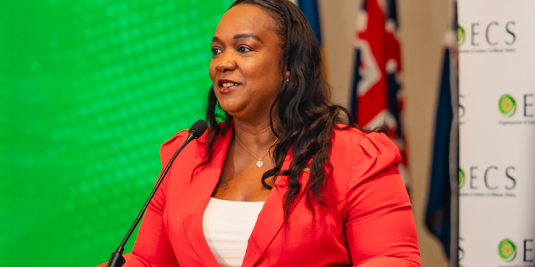MINISTER HENDERSON ASSUMES CHAIRMANSHIP OF THE OECS COUNCIL OF MINISTERS FOR TOURISM AT 9TH MEETING IN SAINT KITTS